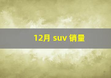 12月 suv 销量